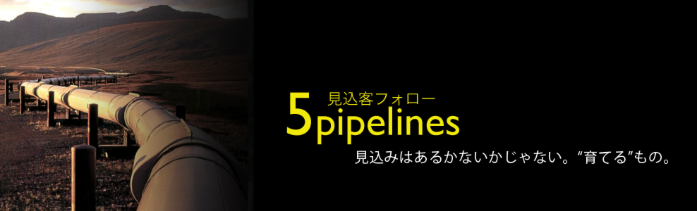 12essentials_top_5pipelines.png